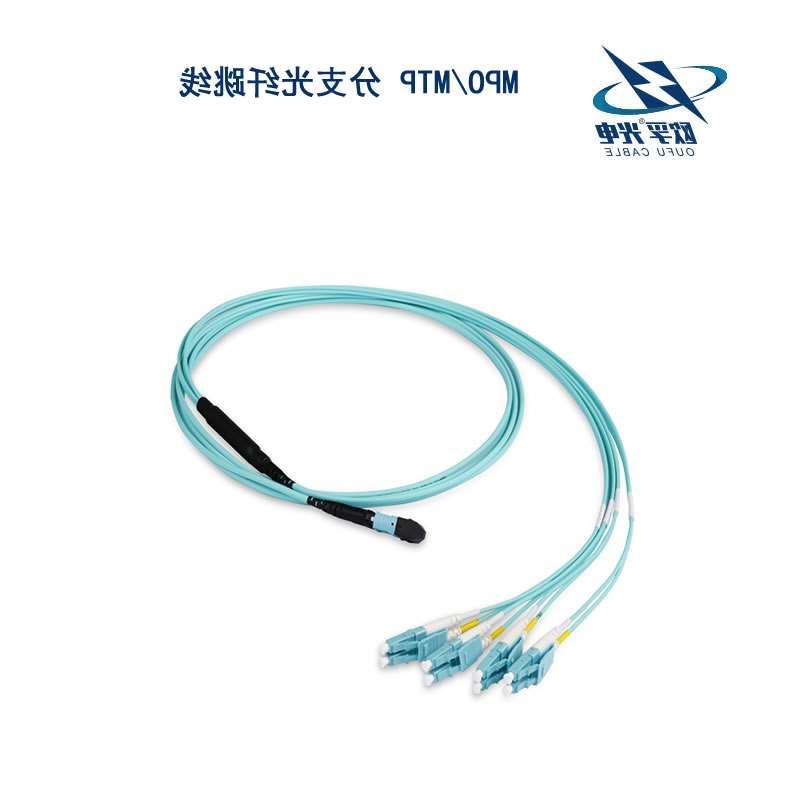 广州市MPO/MTP 分支光纤跳线