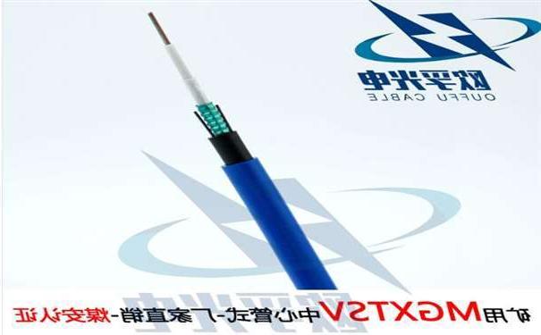 长宁区欧孚MGXTSV-8B1 矿用单模阻燃光缆G652D纤芯煤安证书